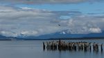 Puerto Natales 03